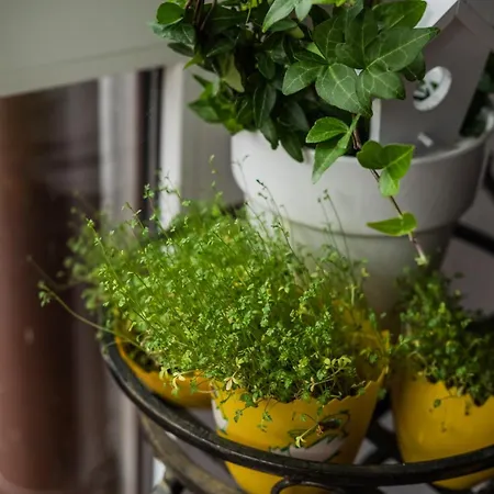 Genevra Privatunterkunft *