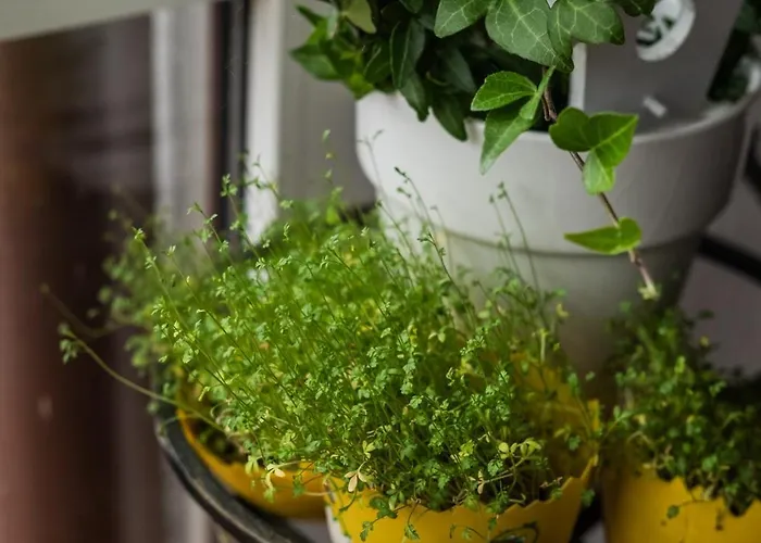 Genevra Accommodatie bij particulieren *